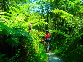 Rotorua: biking the Blue Lake Footpath
