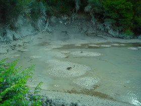 Wai-O-Tapu: mud pool