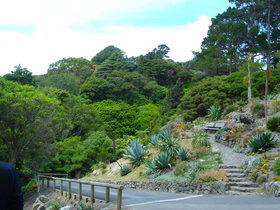 Wellington: Botanic Gardens