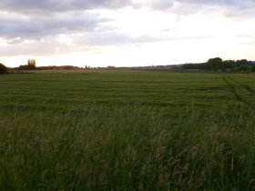 Countryside near Zwalm