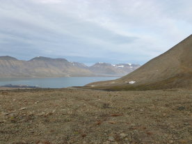 View from the Rifle Range<br>over Adventfjorden