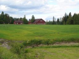 Typical Finland landscape