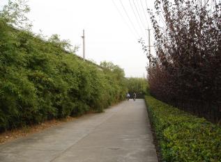 The Route from Blue Horizon Hotel to SSRF: Sanbahe Road