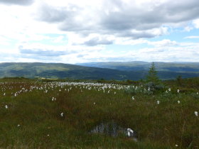 View South over Vollfjellet on Descent from Blåstøten